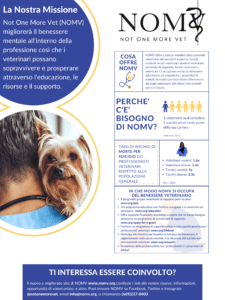 NOMV Infographic - Italian